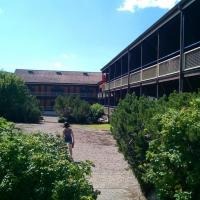 Cour