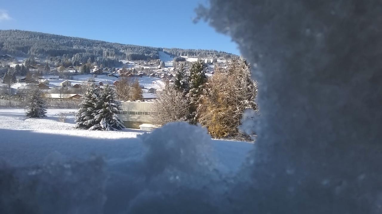 vue du velux