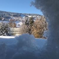 vue du velux