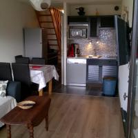 Salon / séjour / cuisine